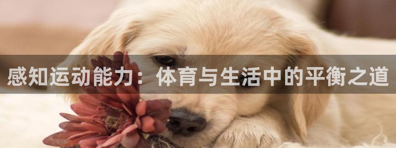 球友体育官网下载手机版：感知运动能力：体育与生活中的平衡之道