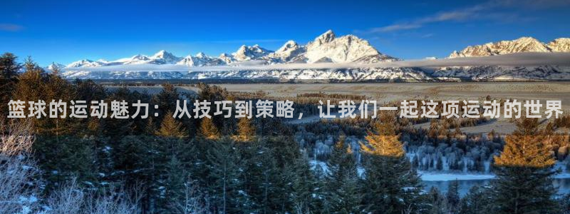 球友体育是什么：篮球的运动魅力：从技巧到策略，让我们一起这项运动的世界