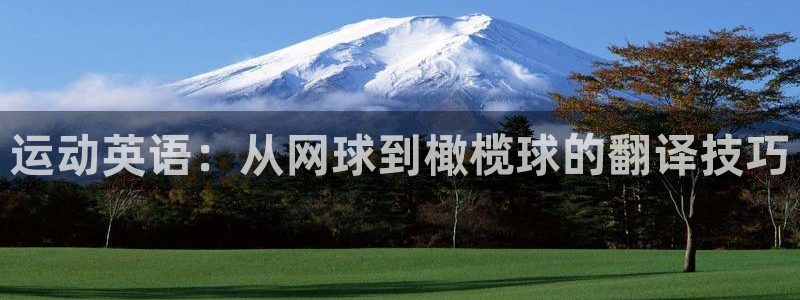球友体育飞鱼下载：运动英语：从网球到橄榄球的翻译技巧