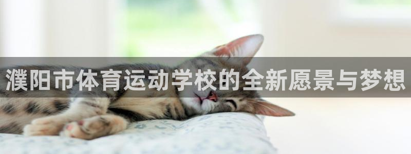 球友体育手机版下载：濮阳市体育运动学校的全新愿景与梦想