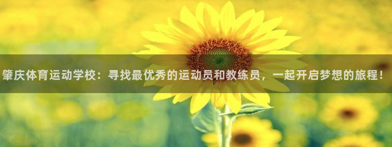 球友体育app小米应用商店版下载：肇庆体育运动学校：寻找最优秀的运动员和教练员，一起开启梦想的旅程！