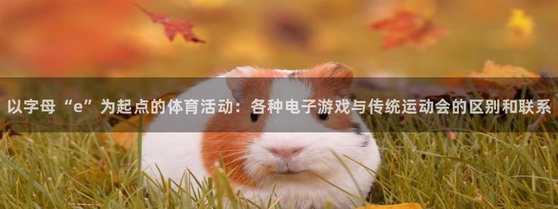 球友体育网页版：以字母“e”为起点的体育活动：各种电子游戏与传统运动会的区别和联系