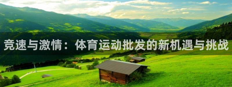 球友体育官网下载：竞速与激情：体育运动批发的新机遇与挑战