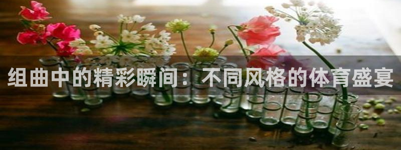 球友体育官网下载：组曲中的精彩瞬间：不同风格的体育盛宴