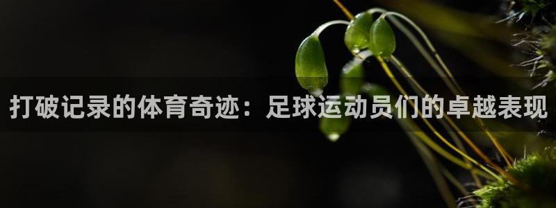 球友体育直播app下载安装：打破记录的体育奇迹：足球运动员们的卓越表现