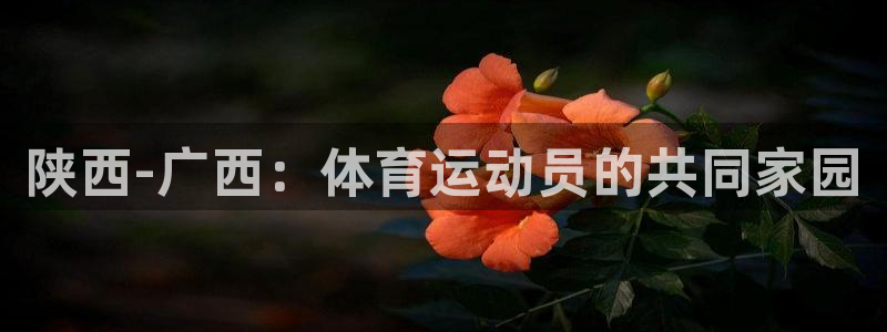 球友体育网页版：陕西-广西：体育运动员的共同家园