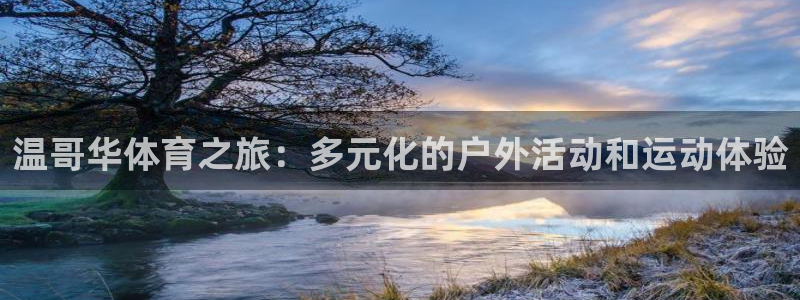 球友体育APP下载：温哥华体育之旅：多元化的户外活动和运动体验