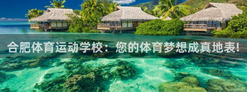 球友体育nba：合肥体育运动学校：您的体育梦想成真地表!