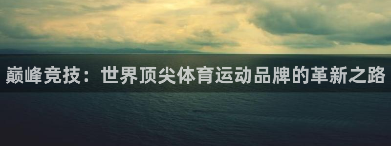 球友体育入1335 top：巅峰竞技：世界顶尖体育运动品牌的革新之路