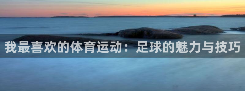 球友体育官网下载：我最喜欢的体育运动：足球的魅力与技巧