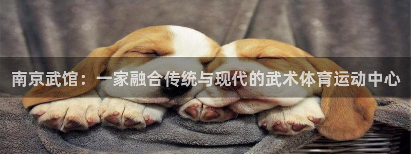 球友体育app官方下载：南京武馆：一家融合传统与现代的武术体育运动中心